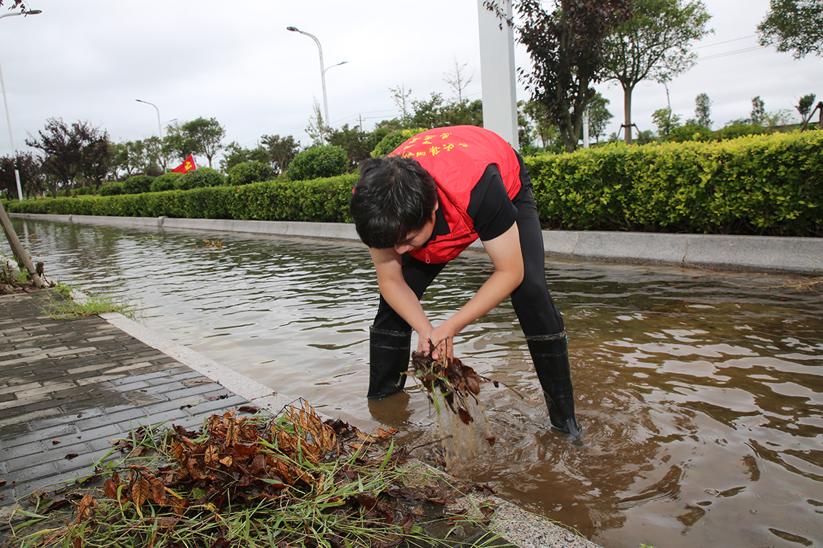 (0830審)高擎黨旗走在前 排澇疏浚顯擔(dān)當(dāng)+新灘鹽場(chǎng)+朱蕓琦(封面圖).jpg